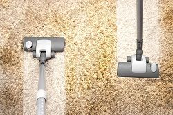 kensington carpet cleaning w8